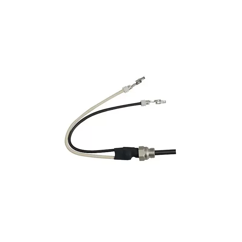 Žvakė 12V Hydronic B/D3/4/5W Eberspaecher 252106011300 / 252106011000