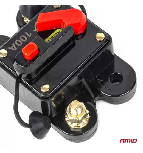 Automatinis automobilio saugiklis, grandinės pertraukiklis 12-48V 100A AMIO-03828