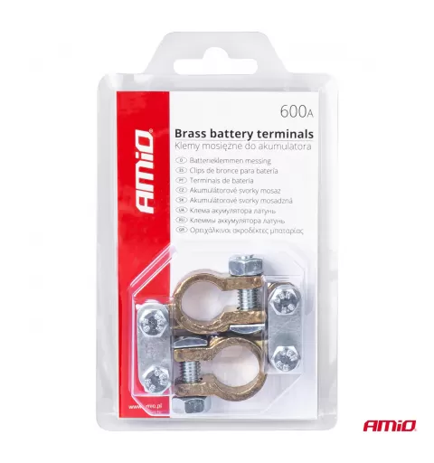 Žalvariniai akumuliatoriaus gnybtai 600AMP, 2 vnt.