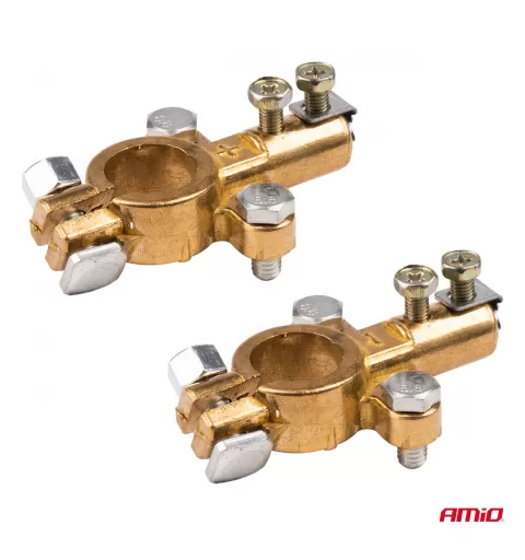 Žalvariniai akumuliatoriaus gnybtai 800AMP, 2 vnt. AMIO-04390