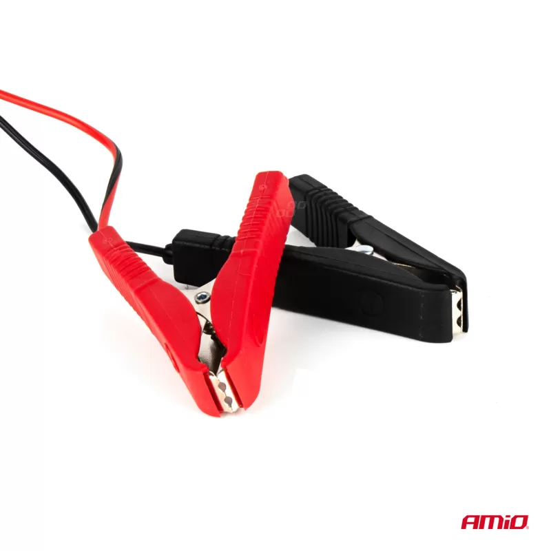 Automobilio akumuliatoriaus įkroviklis 6A, 12V AMiO SBC-6A