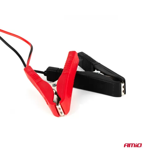 Automobilio akumuliatoriaus įkroviklis 6A, 12V AMiO SBC-6A