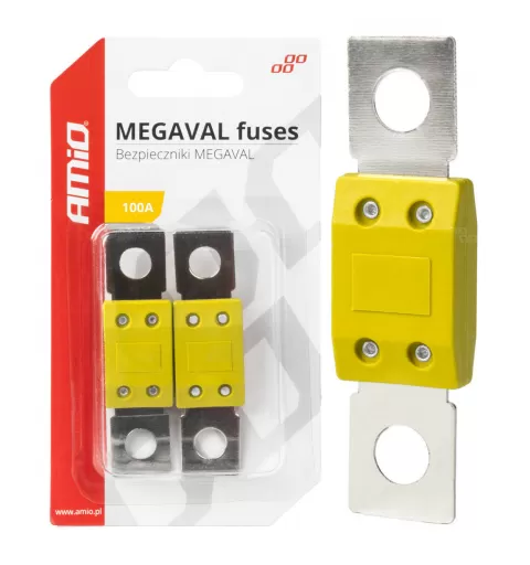 Automobilio MEGAVAL saugikliai 100A AMIO-03463