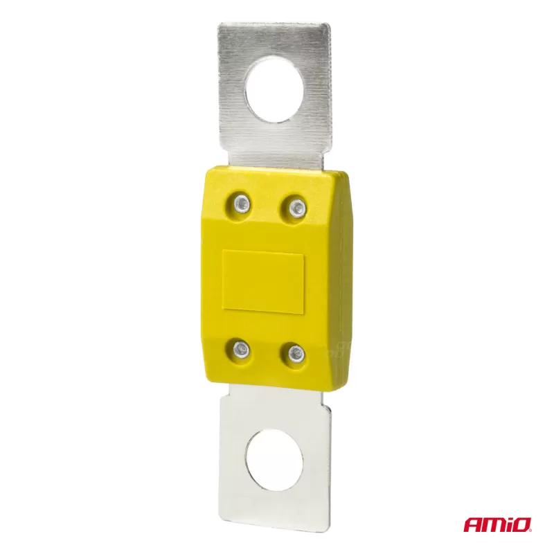 Automobilio MEGAVAL saugikliai 100A AMIO-03463