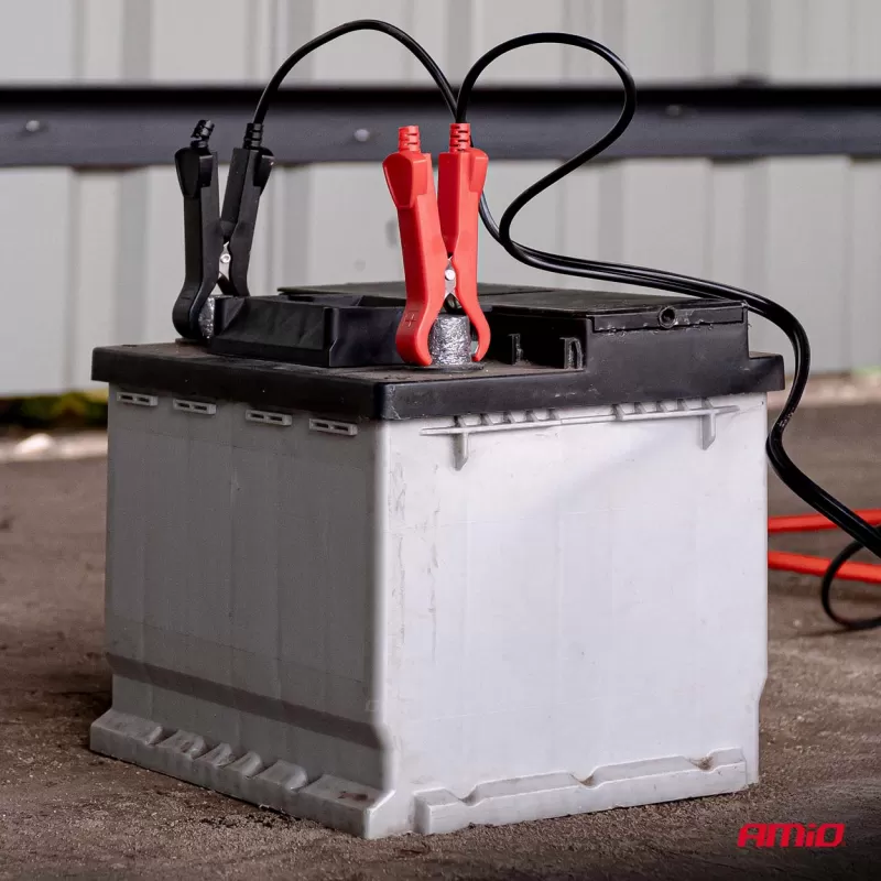Skaitmeninis akumuliatoriaus įkroviklis AGM GEL STD LiFePo4 MAX 10A 12/24V PRO AMIO-04528