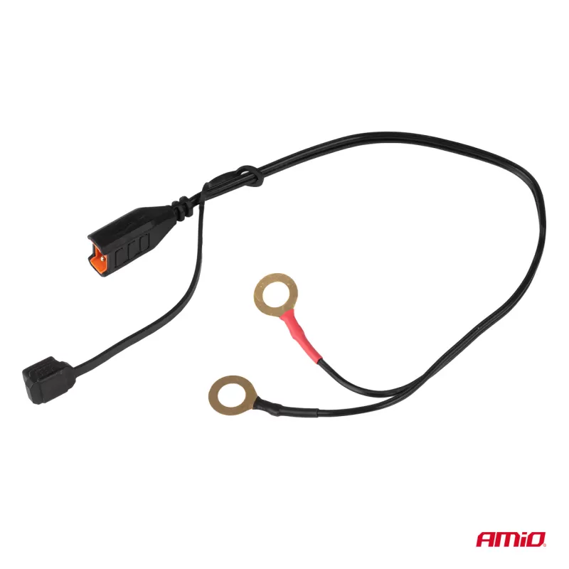 Skaitmeninis akumuliatoriaus įkroviklis AGM GEL STD LiFePo4 MAX 6A 6/12V PRO HOOK AMIO-04532