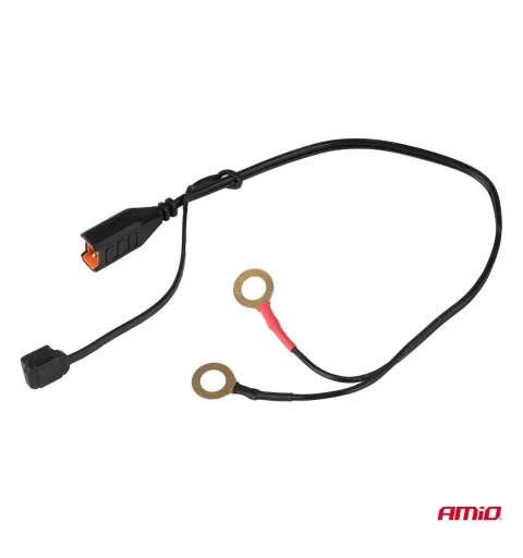 Skaitmeninis akumuliatoriaus įkroviklis AGM GEL STD LiFePo4 MAX 6A 6/12V PRO HOOK AMIO-04532