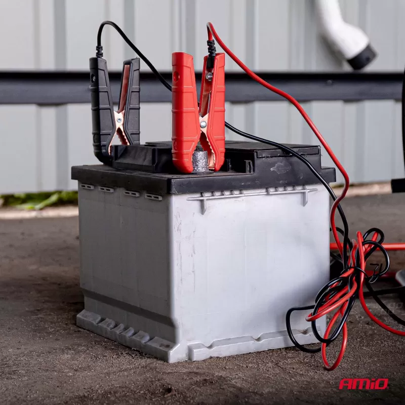 Skaitmeninis akumuliatoriaus įkroviklis BOOST AGM GEL STD LiFePo4 MAX 25A 12/24V PRO AMIO-04530